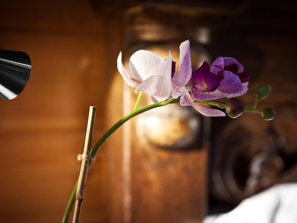 第一道曙光木屋 埃米瑞姆 外观 照片